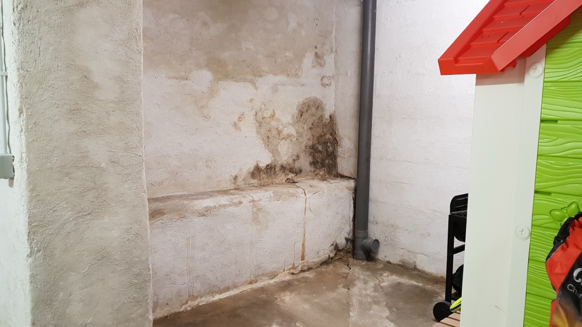 Infiltrations d'eau - Expertise humidité à Évreux